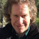 Professor David Gundry